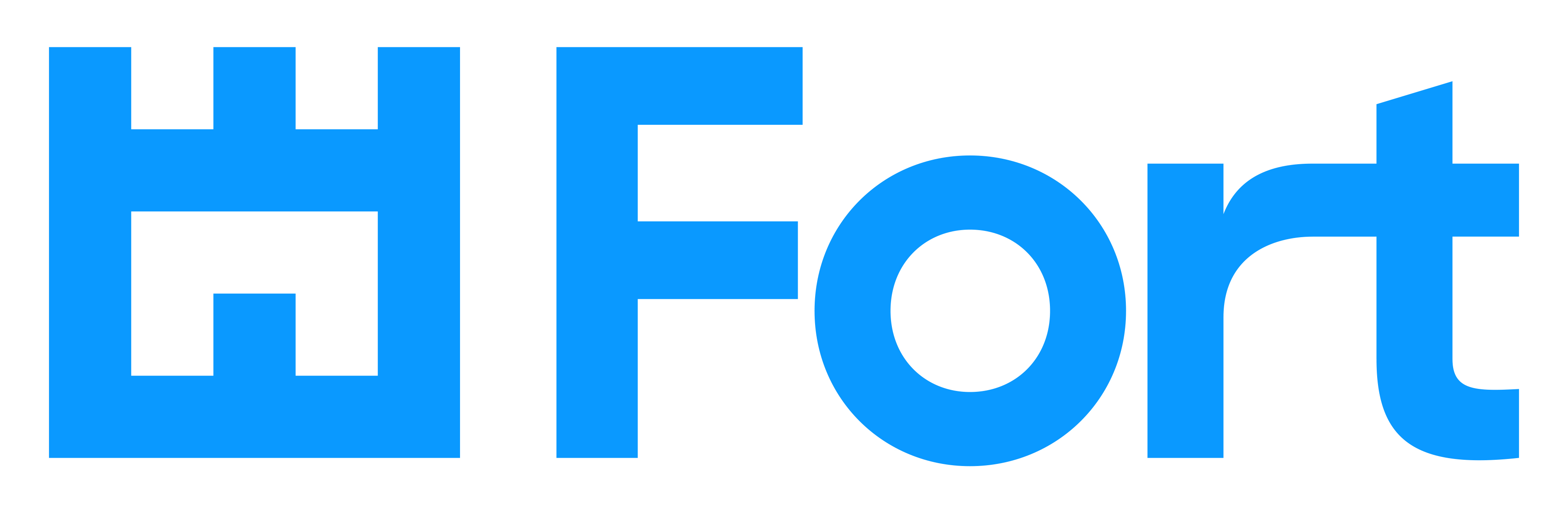Fort Management Services Limited Logo